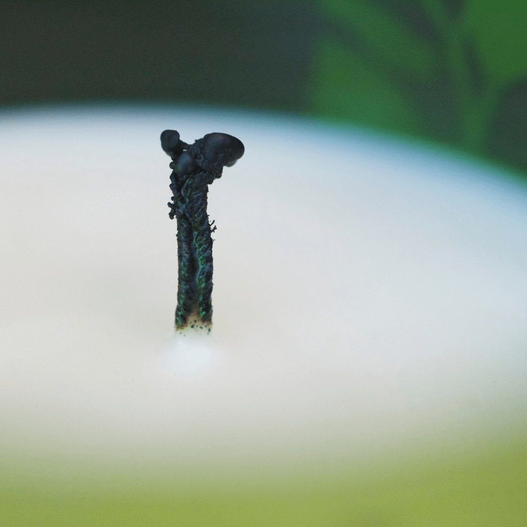 The Science Behind the Wick: How it Ignites the Perfect Flame